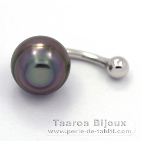 Piercing de Plata y 1 Perla de Tahiti Anillada B 11.1 mm