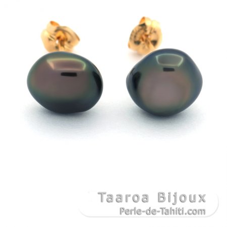 Aretes de Oro 18Kl y 2 Keishis de Tahiti