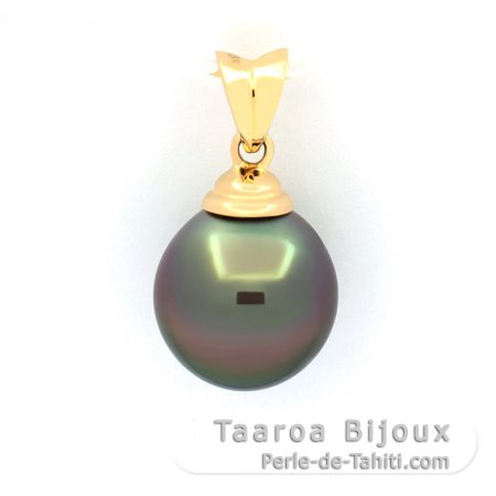 Colgante de Oro 18Kl y 1 Perla de Tahiti Semi-Barroca A 11 mm