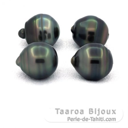 Lote de 4 Perlas de Tahiti Anilladas C/D de 11.5 a 11.7 mm