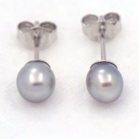 Aretes de Plata y 2 Keishis de Tahiti