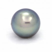Perla de Tahit Redonda C+ 11.3 mm