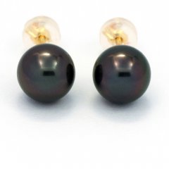 Aretes de Oro 18Kl y 2 Perlas de Tahiti Redondas C 8.1 mm