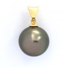 Colgante de Oro 18Kl y 1 Perla de Tahiti Redonda B 11.7 mm