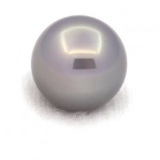 Perla de Tahit Redonda B 13.1 mm
