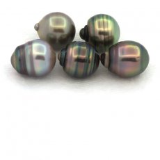 Lote de 5 Perlas de Tahiti Anilladas C de 9.4 a 9.9 mm