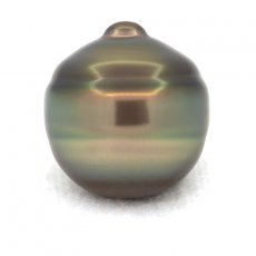 Perla de Tahit Anillada C 14.7 mm