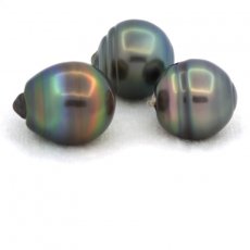 Lote de 3 Perlas de Tahiti Anilladas C de 13 a 13.2 mm