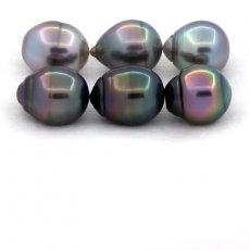 Lote de 6 Perlas de Tahiti Anilladas B/C de 10.5 a 10.8 mm