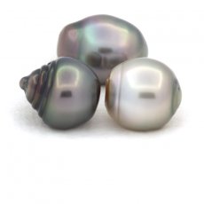 Lote de 3 Perlas de Tahiti Anilladas C de 10.6 a 10.8 mm